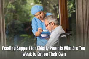 A Nurse Feeding an Elderly