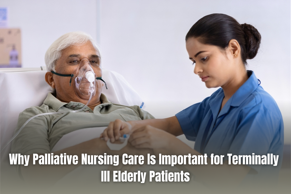 Why Palliative Nursing Care Is Important for Terminally Ill Elderly Patients